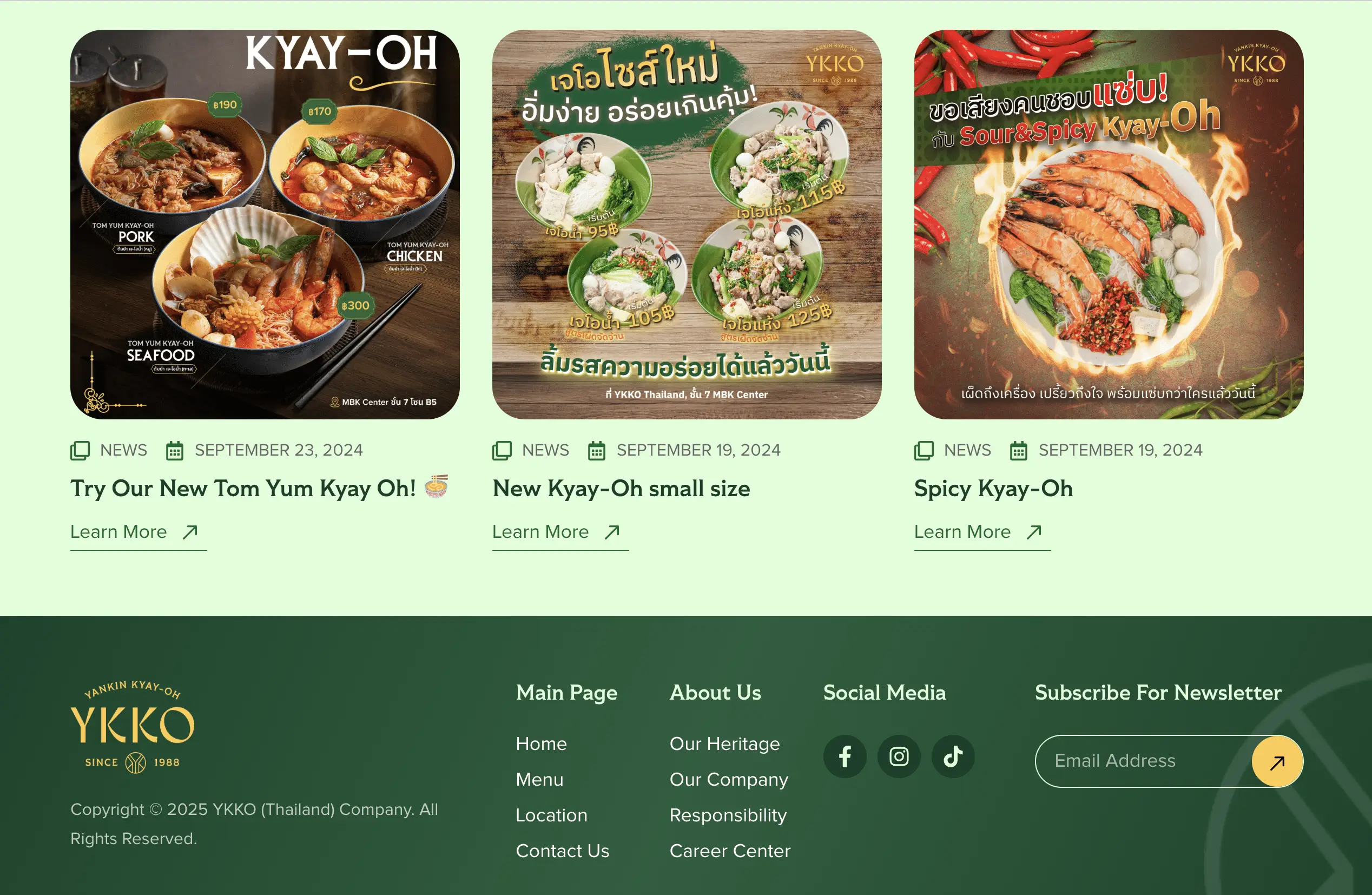 YKKO Thailand Website Mockup